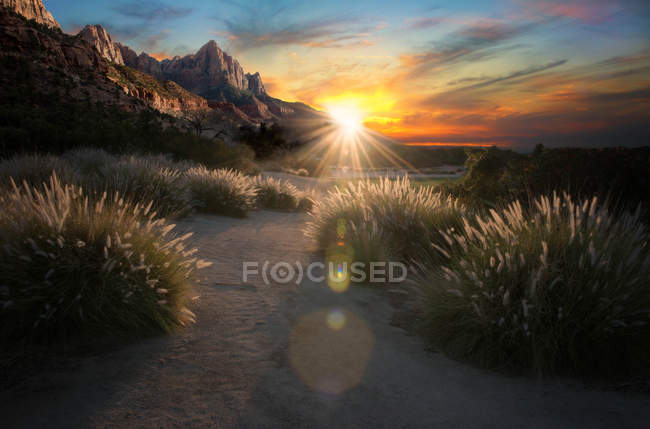 Мальовничий вид на гори захід сонця, Сіон Національний парк, штат Юта, Америка, США — стокове фото