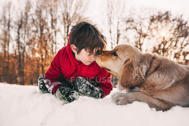 Niño acostado en la nieve con su perro recuperador de oro - foto de stock
