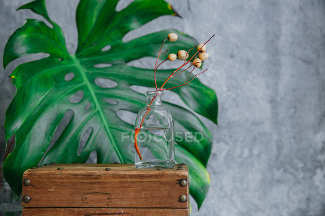 Scatola rustica con vasi e piante di vetro — Foto stock
