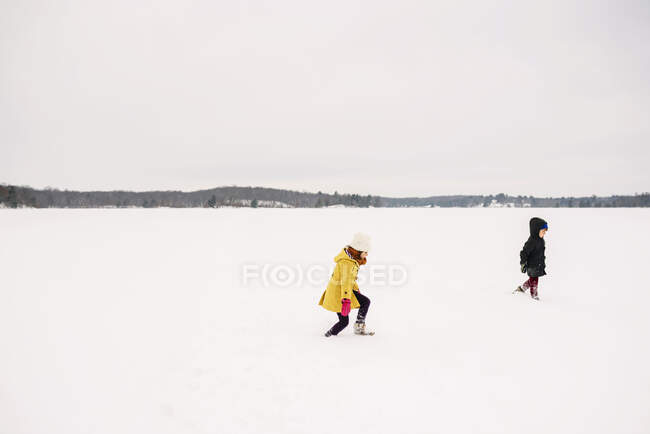 Garçon et fille marchant à travers un lac gelé — Photo de stock