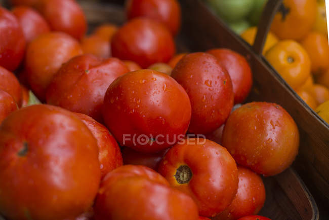 Fresh heap of tomatoes, closeup view — Stock Photo
