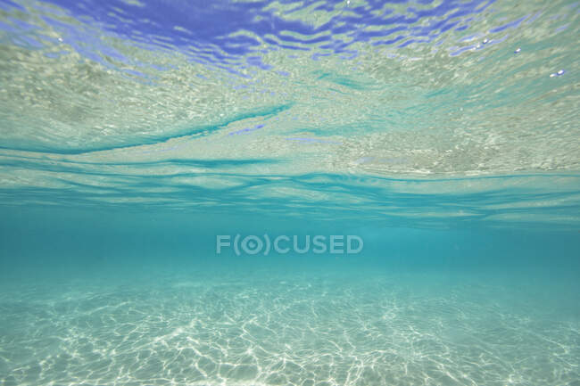Tropical underwater ocean seascape, Queensland, Australia — Stock Photo