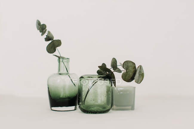 Вид на стеклянные вазы с эвкалиптом — стоковое фото
