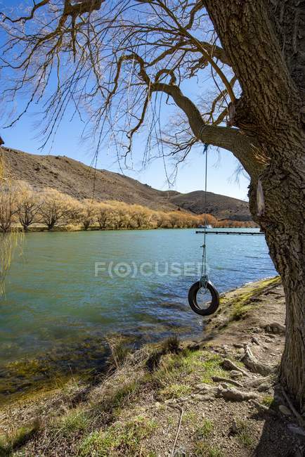 Columpio de neumáticos colgando de un árbol, Lago Benmore, Isla Sur, Nueva Zelanda - foto de stock