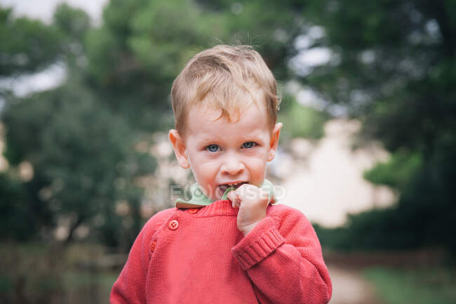Крупним планом знімок чарівного маленького хлопчика на природі — стокове фото