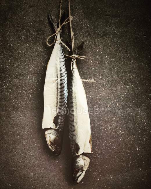 Vue rapprochée de deux poissons suspendus à une corde — Photo de stock