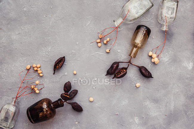 Closeup view of Dried flowers in glass bottles — Stock Photo