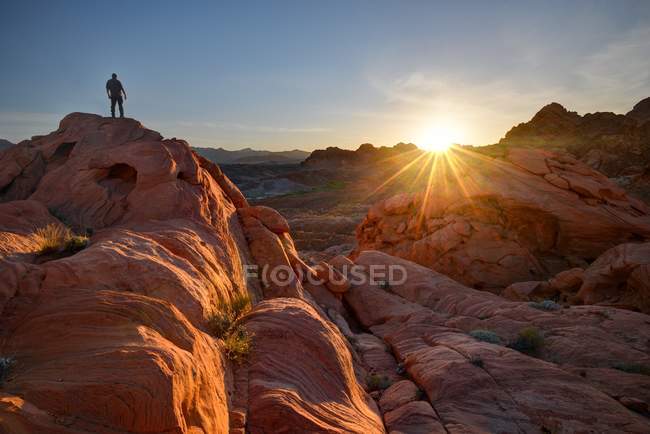 Человек, стоящий на скалах, парк Valley of Fire State, Невада, Америка, США — стоковое фото