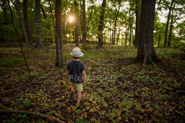 Ragazzo che cammina nella foresta raccogliendo foglie — Foto stock