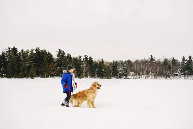 Мальчик выгуливает собаку по снегу — стоковое фото