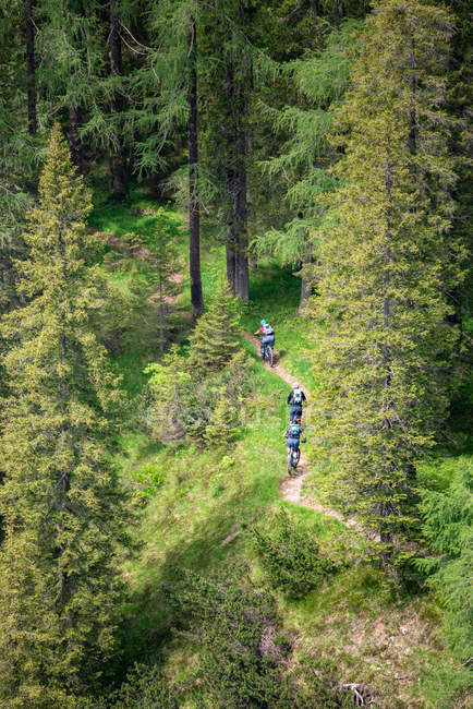 Tre persone mountain bike, Parco Nazionale Fanes-Sennes-Braies, Dolomiti, Trentino, Alto Adige, Italia — Foto stock