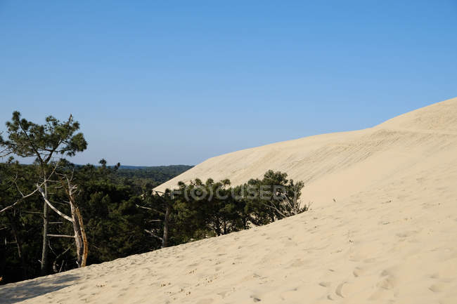 Мальовничим видом Dune Пилат, Ла-тест де Бюш, Arachon, Nouvelle Аквітанської, Франція — стокове фото
