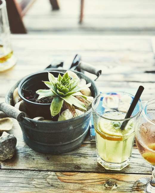 Свежий лимонный сок и растение на деревянном столе — стоковое фото