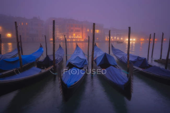 Row of gondolas moored at sunrise, Venetian paths 120, Venice, Veneto, Italy — Stock Photo