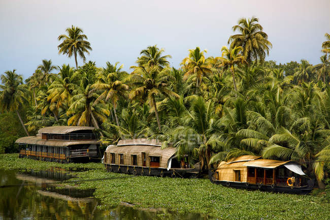 Мальовничий вид на плавучі озера на Вамбанад, Керала, Індія — стокове фото