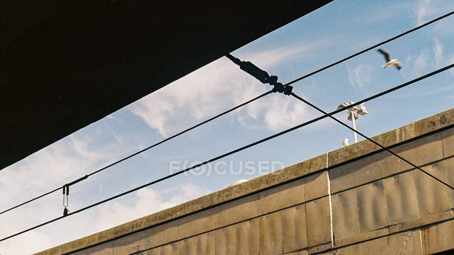 Bird survolant une gare, Cape Town, Western Cape, Afrique du Sud — Photo de stock