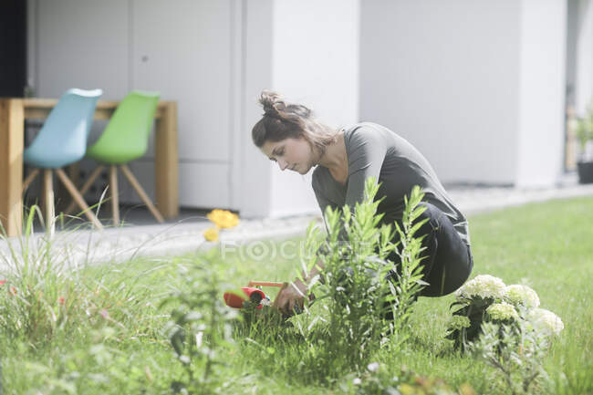 Жінка садівництво влітку — стокове фото