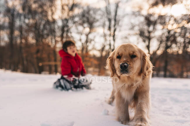 Menino brincando na neve com seu cão golden retriever — Fotografia de Stock