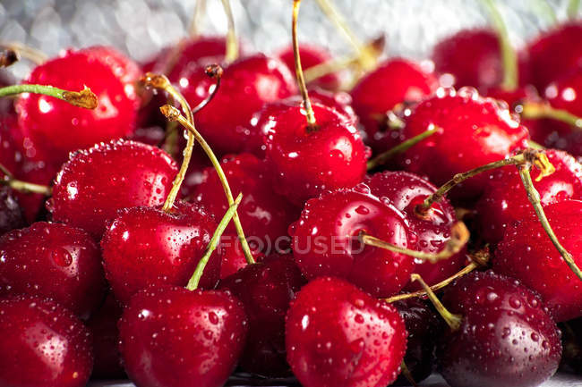 Close-up view of fresh wet cherries — Stock Photo