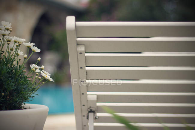 Дерев'яний стілець поруч з квітковим горщиком з ромашками — стокове фото