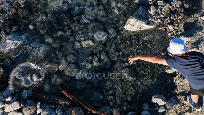 Boy throwing a rock into a creek, America, USA — Stock Photo