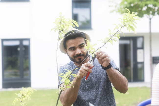 Чоловік стоїть у саду обрізаючи рослину — стокове фото