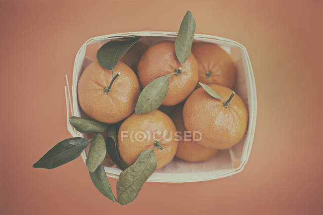 Overhead view of a punnet of tangerines, orange background — Stock Photo