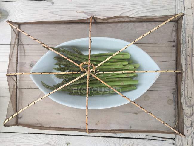 Fresh asparagus on a plate covered by a mesh protector — Stock Photo