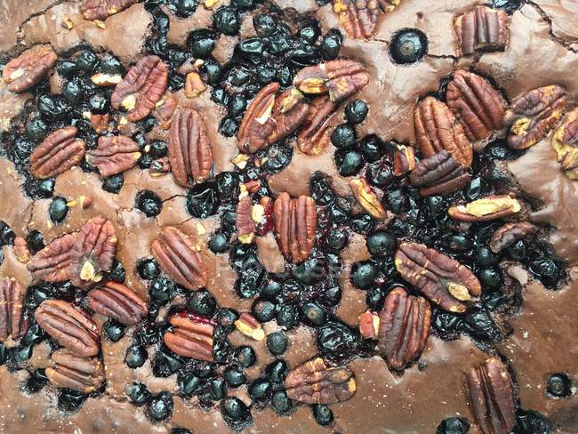 Chocolate brownie with pecans and blackcurrants — Stock Photo