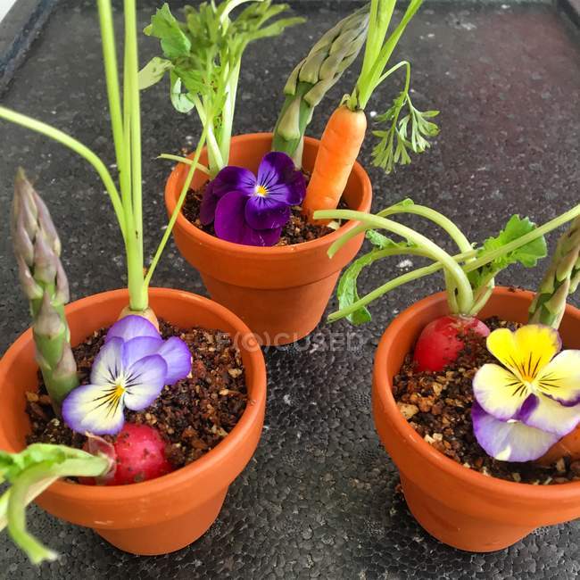 Legumes frescos em vasos de plantas — Fotografia de Stock