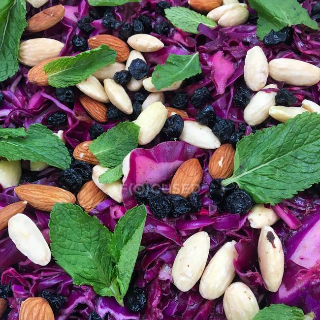 Red cabbage coleslaw with mint, raisins and almonds — Stock Photo