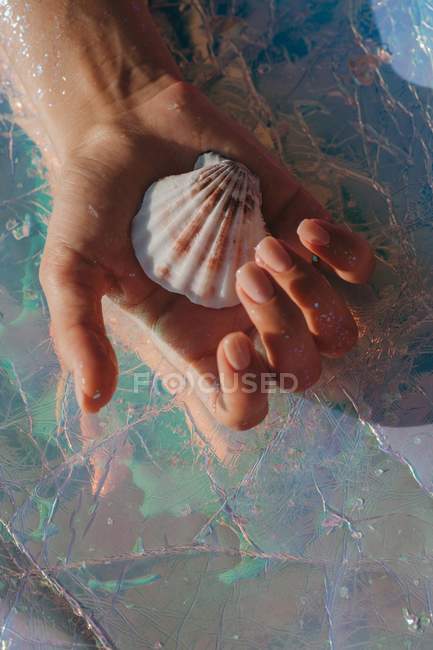 Vista de cerca de la mano de la mujer sosteniendo una concha marina - foto de stock