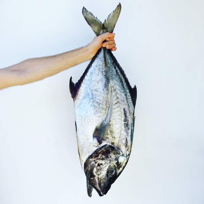 Mann hält riesigen Kleeblatt-Fisch in der Hand — Stockfoto