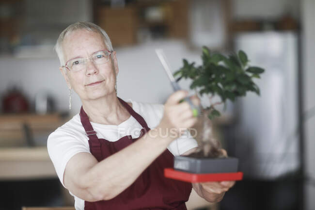 Mulher de pé na cozinha cuidando de uma planta de bonsai — Fotografia de Stock