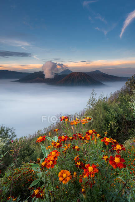 Vista panorámica del majestuoso Monte Bromo, Indonesia - foto de stock