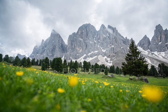 Vue panoramique sur les sommets montagneux, parc naturel de Puez Geisler, Dolomites, Trentin, Tyrol du Sud, Italie — Photo de stock