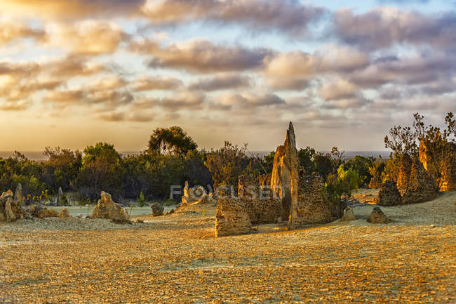 Мальовничим видом The Pinnacles на заході сонця, Nambung Національний парк, Західна Австралія, Австралія — стокове фото