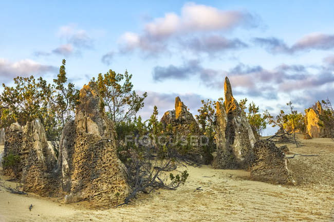 Scenic view of The Pinnacles, Nambung National Park, Western Australia, Australia — Stock Photo
