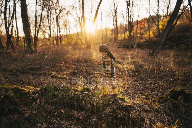 Хлопчик, який восени ходить лісом, США. — стокове фото