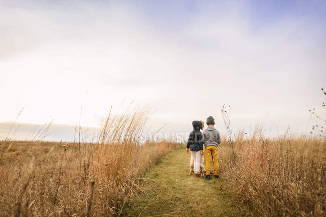 Retrato de un niño y una niña de pie en un campo, Estados Unidos - foto de stock