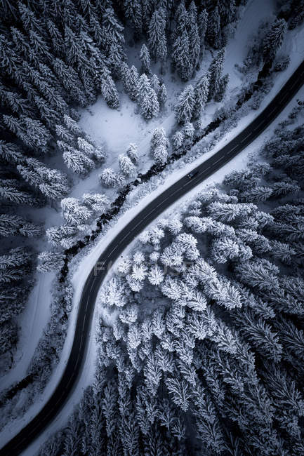 Vue aérienne sur une route serpentant à travers des arbres enneigés dans les Alpes autrichiennes . — Photo de stock