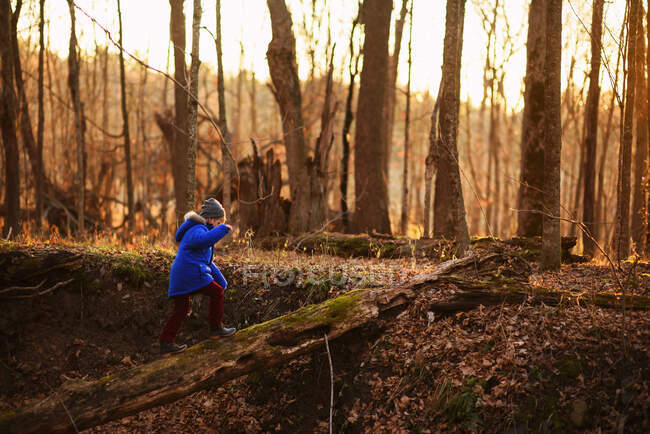 Garçon marchant sur un arbre tombé dans les bois, États-Unis — Photo de stock