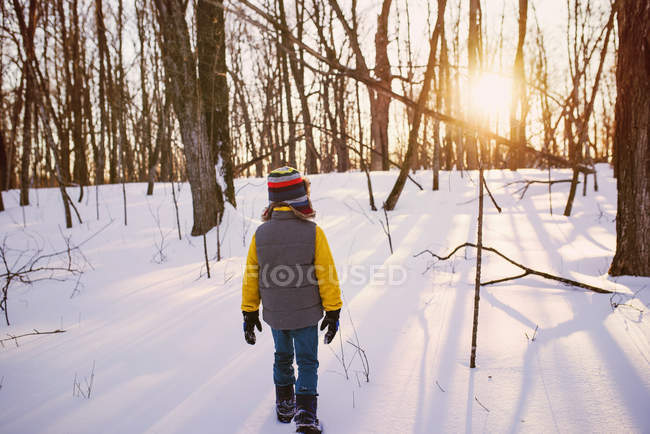 Boy hiking through the forest in the snow, Stati Uniti — Foto stock