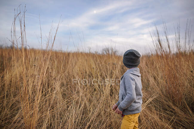 Porträt eines Jungen, der auf einem Feld steht, vereinigte Staaten — Stockfoto