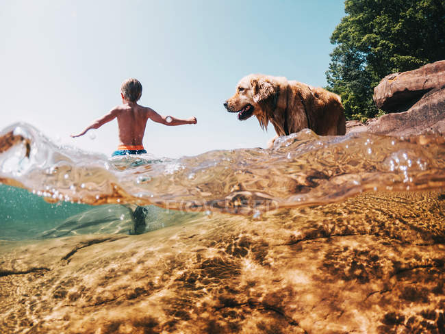 Boy and dog walking in a lake, Lake Superior, Estados Unidos - foto de stock