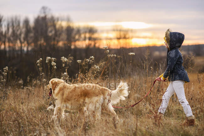 Chica llevando a su perro a dar un paseo, Estados Unidos - foto de stock