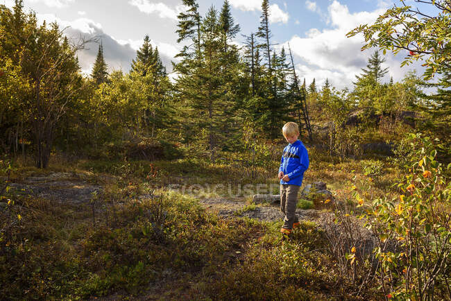 Boy standing in a forest in summer, Lake Superior Provincial Park, United States — Stock Photo