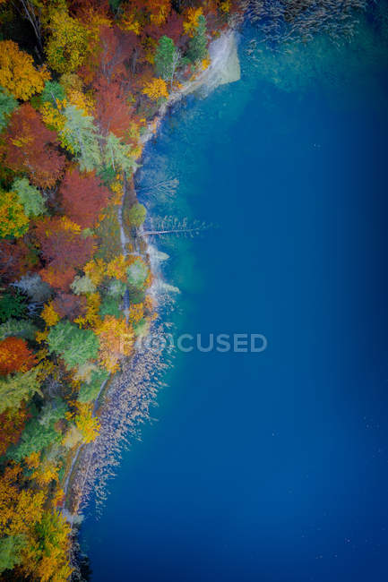 Vue aérienne de la forêt boisée au bord du lac Eibensee près de Salzbourg, Autriche — Photo de stock