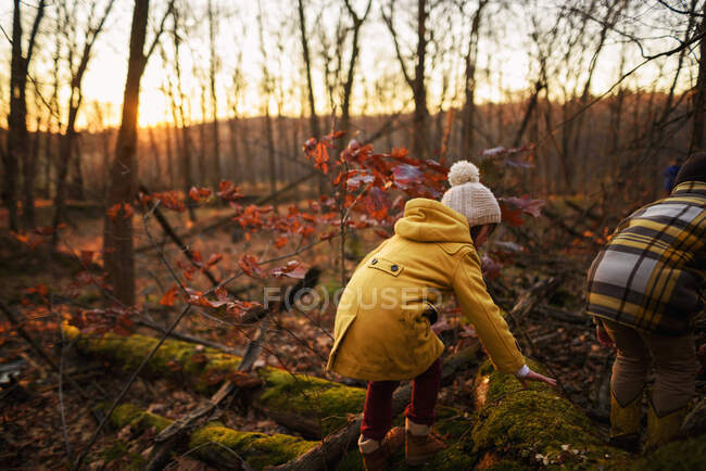 Niño y niña jugando en el bosque, Estados Unidos - foto de stock
