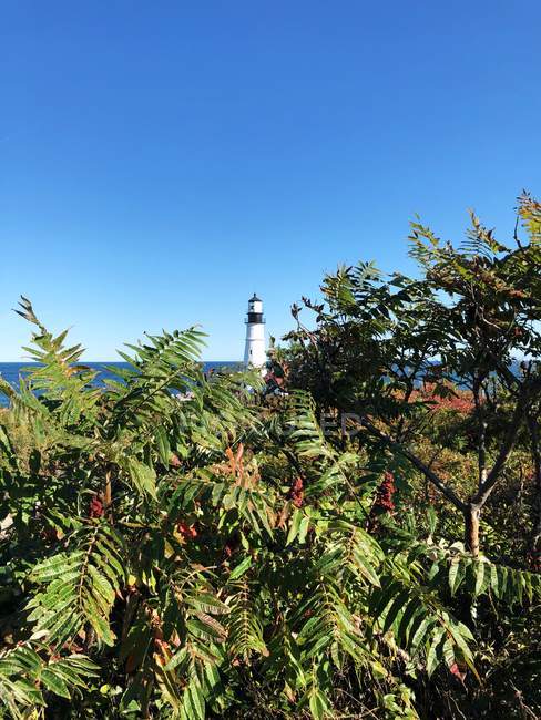 Живописный вид на маяк Портленд-Хед, Кейп-Элизабет, Портленд, Мэйн, США — стоковое фото